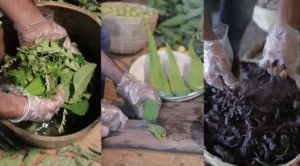 Desktop Hero Image Adivasi Originals